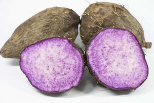WHOLESALE <b>FROZEN</b> PURPLE YAM PREMIUM QUALITY BULK SUPPLY HOT DEAL TOP SALES NATURAL UBE ROOT EXPORT <b>PRODUCT</b> - Product Image 5