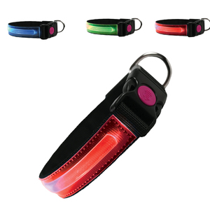 Collier pour chien PettyItalia-Collier rechargeable USB non réglable avec fermeture à boucle et bouton de sécurité - Product Image 1