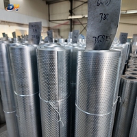 Bobine de métal perforé industriel en acier inoxydable et aluminium pour tamis filtrants et protection de machines