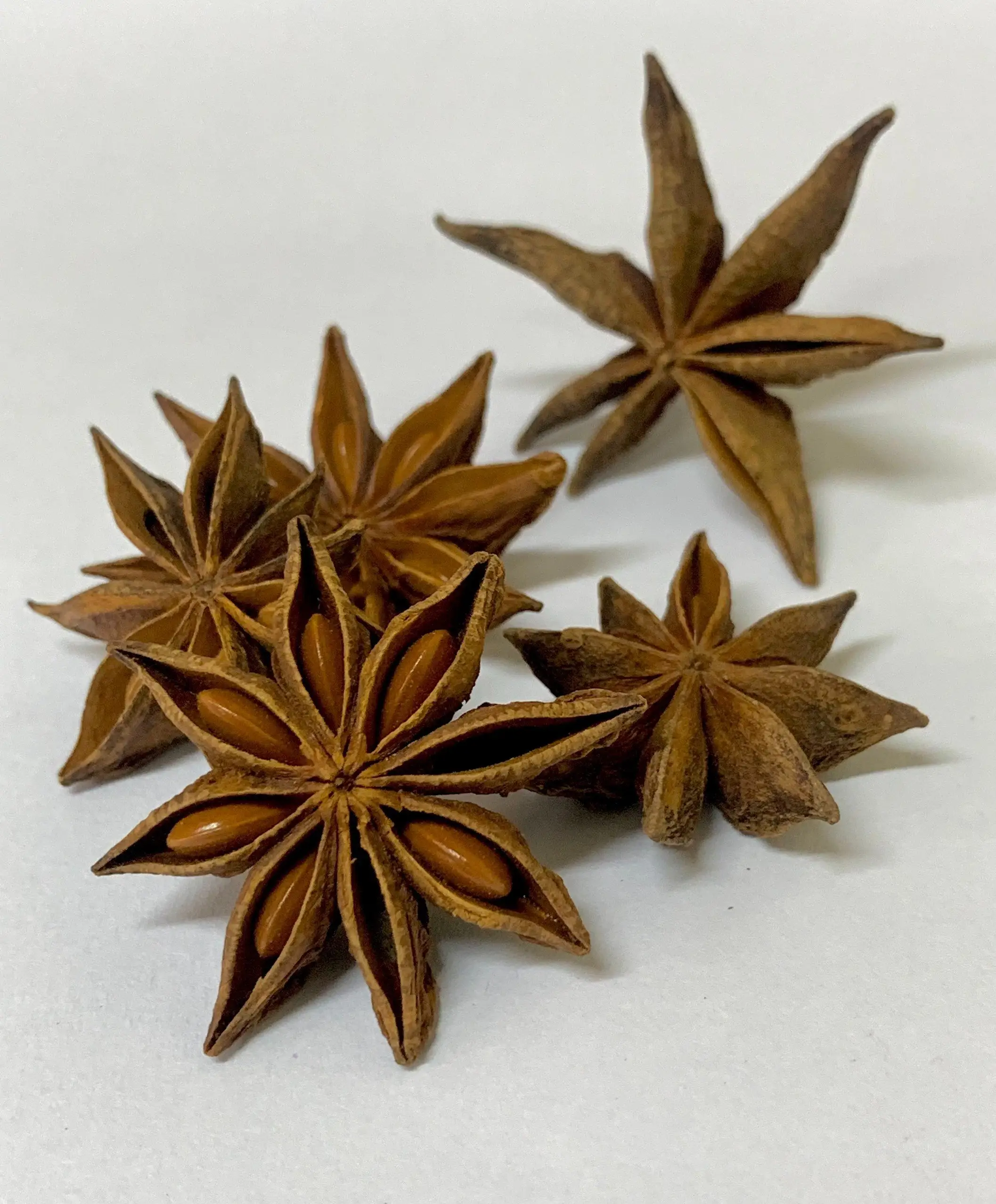 VIETNAM SPICES - STAR ANISE - Good product high quality Reasonable Price Wholesale from supplier /DC