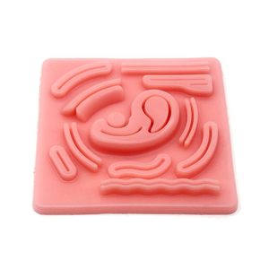 Almohadilla de simulación de sutura laparoscópica de silicona con heridas precortadas para entrenamiento de sutura | Enfermeras de estudiantes de medicina, instrumento médico - Product Image 1