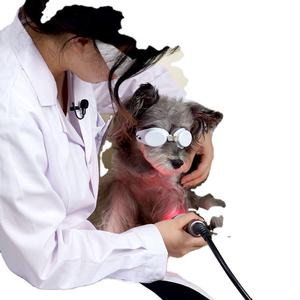 Gran precio EUR VET Máquina de terapia láser profesional Equipo veterinario Centro de mecanizado de electroterapia - Product Image 3