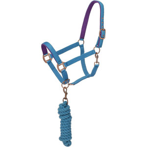 Néoprène rembourré cheval licou plomb corde ensemble Antique laiton matériel doux muserolle couronne chevaux poneys poulains Premium - Product Image 6