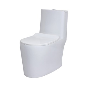 Sistema de descarga dual Inodoro de cerámica de una pieza con diseño sin costuras y superficie de fácil limpieza esmaltada Proveedor indio - Product Image 1