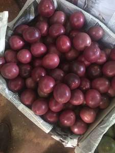 Fruta de la Pasión fresca del mercado de la UE de alta calidad 11 pcs/kg 2 kg/caja también disponible - Product Image 3