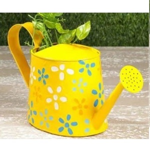 Regadera de Metal de Diseño Sostenible y de Calidad, Acabado Amarillo, Estilo Único, Regadera de Metal Antigua - Product Image 1