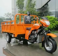 Nouveau tricycle électrique à trois roues, fourgonnette ouverte/chariot de restauration de rue, vélo de livraison, 2 passagers, charge utile de 100 kg, vitesse de 30 km/h, autonomie de 30 km