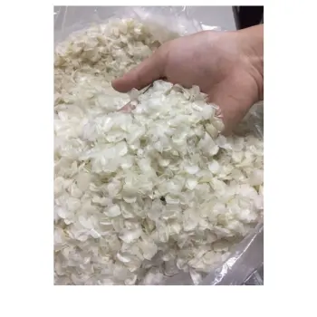 Báscula de pescado seco para polvo de colágeno en productos de belleza, específicamente báscula de pescado de lubina, con alta calidad para la exportación de Vietnam