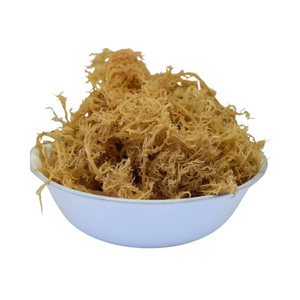 Offres Spéciales 2025 VIET DELTA EXPORT SÉCHÉ SEAMOSS-SEASONED ALGUES DE HAUT STANDARD en 25KG-50KG PP SAC - Product Image 4