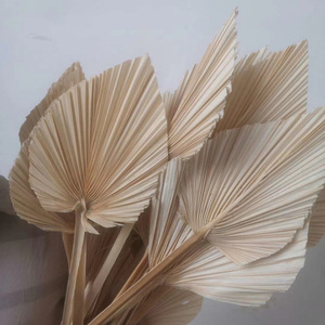 ใบปาล์มดอกไม้แห้งใบปาล์มดอกไม้ตกแต่งใบปาล์มที่เก็บรักษาไว้สำหรับวันแม่วันวาเลนไทน์วันคริสต์มาสขอบคุณ - Product Image 1