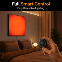 Lumière LED de relaxation avec effet lever/coucher de soleil, disponible en ODM, pour la thérapie bien-être, art mural pour le salon
