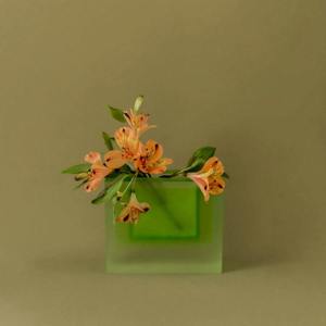 <span class=keywords><strong>Vasi</strong></span> in <span class=keywords><strong>Resina</strong></span> Ecologici Moderni all'Ingrosso, Colore e Dimensioni Personalizzabili, Vaso Estetico per Fiori per Decorazione Casa, Hotel, Tavolo, Regalo FAIZA - Product Image 1