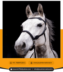 Muy práctico, riel que no se puede utilizar - Product Image 2