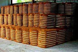 นวัตกรรมการใช้งานของเส้นใยมะพร้าว - Product Image 6