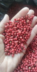 VANILLE HARVEST Grains de poivre rose de Madagascar (Baies Roses) Qualité supérieure Récolte sauvage Emballage sous vide 99% de pureté Baies séchées 24 - Product Image 6