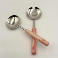 Ensemble de couverts en métal au design unique, lot de 2 avec manche en résine, pour la cuisine à domicile, ensemble de cuillères, fournisseur en gros à bas prix