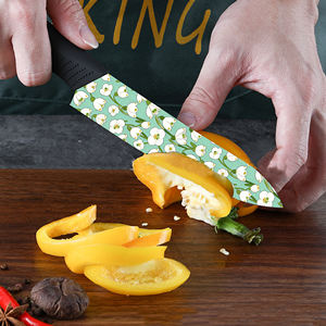 Cuchillo de Chef de Cerámica con Mango de Plástico para Senderismo al Aire Libre, Venta al por Mayor de Fábrica, Envío Gratuito - Product Image 6