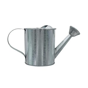 Jardín de flores Regadera de metal Maceta vintage Decoración de maceta galvanizada impermeable - Product Image 1