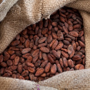 Fèves de cacao de qualité supérieure indonésiennes de haute qualité meilleur prix approvisionnement en vrac pour l'exportation - Product Image 2