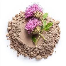 ผงสมุนไพรสกัดจากโคลเวอร์สีแดงยาสมุนไพรเพื่อสุขภาพของฮอร์โมนธรรมชาติสำหรับวัยหมดประจำเดือนและมีภูมิคุ้มกันผลิตในอินเดีย - Product Image 3