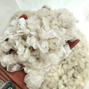 Meilleur rabais sur les écailles de poisson tilapia séchées à bas prix pour les acheteurs en vrac écailles de poisson séchées de l'usine - Product Image 2