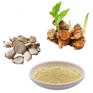 Fabriek Leveren Puur Natuurlijke <span class=keywords><strong>Kaempferia</strong></span> <span class=keywords><strong>Galanga</strong></span> Extract/Sophora Japonica Extract 98% Kaempferol Poeder - Product Image 5