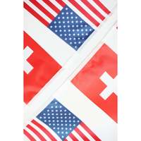Drapeau Gambien Personnalisé 3x5ft Rectangulaire – Guirlande de Fanions Numériques Variés (Coton, Nylon, Plastique)