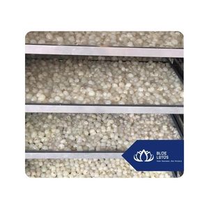 Best Seller Longan seco para panadería y bebidas, Longan de calidad premium con rica dulzura y color dorado - Product Image 1