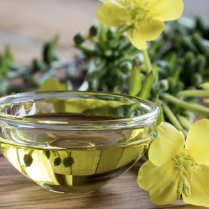 100% Huile de parfum d'onagre certifiée naturelle pure pour l'aromathérapie à bas prix et de haute qualité Exportateur en vrac Inde - Product Image 1