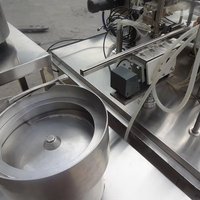 Máquina de Llenado y Tapado para Fábrica de Botellas, Equipo de Línea de Empaquetado, Etiquetado y Tapado de Sobremesa Personalizado por el Fabricante