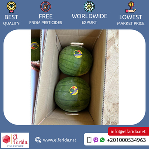 Excelente calidad, superventas, 100% semillas de sabor originales deliciosas naturales/sandía sin semillas para compradores mayoristas - Product Image 4