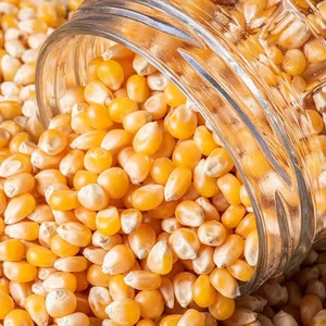 Maíz amarillo no OGM de la mejor calidad, grano puro y natural rico en nutrición para caballos, ganado, cerdo, pedido a granel - Product Image 1