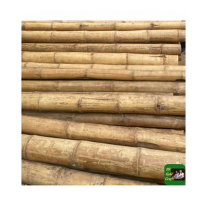 Venta al por Mayor de Ratán Crudo de Vietnam, Caña de Bambú/Ratán, Precio de Fábrica de Ratán Recto al por Mayor - Product Image 3