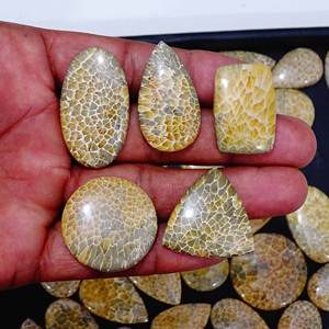 Pierre précieuse de corail fossilisée en quartz naturel personnalisable Cabochon en vrac de qualité rare avec forme mixte Produit AAAAA 5 étoiles - Product Image 3