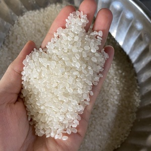 ข้าวญี่ปุ่น/ซูชิ/ข้าวแตกเม็ดสั้น Riz Riz riso แบบแห้งปานกลางสำหรับใช้ในอาหารราคาถูกสำหรับตะวันออกกลาง - Product Image 1