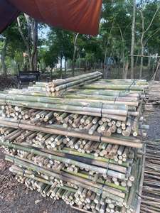 Estacas de bambú agrícolas | Servicio OEM/ODM | Tamaño y procesamiento personalizados - Product Image 5