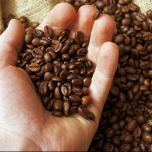 Granos de Café Arábica Orgánico Premium Tostados con un 0.1% de Granos Negros, Certificación USDA, Estándar de Exportación, Marca TNFOOD, Grado G1/G2 - Product Image 2