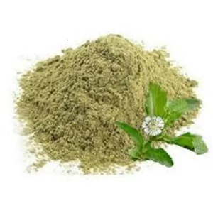 Poudre de Bhringraj de haute qualité extrait de plante à base de plantes poudre de soin capillaire ayurvédique pour des racines de cheveux fortes cuir chevelu sain éclat naturel - Product Image 2