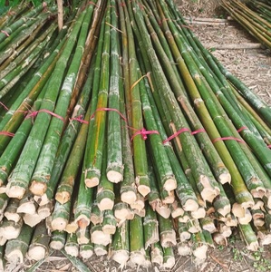 เสาไม้ไผ่ดิบธรรมชาติเป็นมิตรต่อสิ่งแวดล้อมสำหรับสวนรั้วก่อสร้าง - Product Image 5