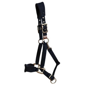 2026 Latest Durable Premium Quality Customized Leather <b>Horse</b> Halter <b>Name</b> <b>Plate</b> Handmade Soft Padded Noseband Crown - Product Image 1