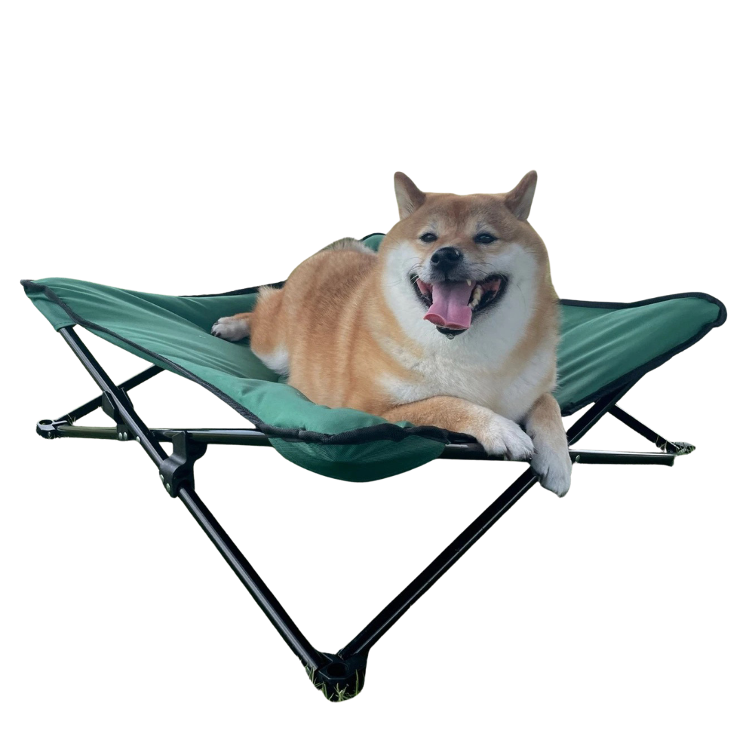 Green (Oxford Cloth)