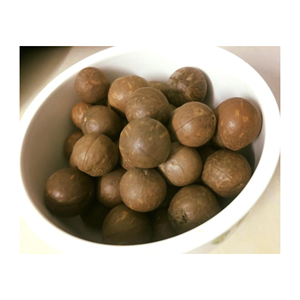 Les noix de macadamia les plus vendues d'origine vietnamienne avec une qualité d'exportation pour la vente en gros à prix compétitif - Product Image 3