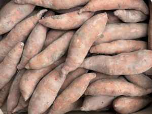 Patates douces japonaises biologiques cultivées au Vietnam, fraîches, à peau violette et chair jaune, export direct, à vendre - Product Image 6