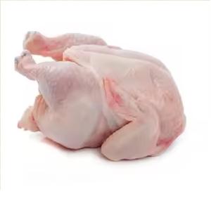 Pollo Halal Congelado Orgánico de Alta Calidad con Cafeína, envasado al vacío, con vitaminas, partes completas: Alas, Patas, Muslos, Cabeza y Cuello. - Product Image 1