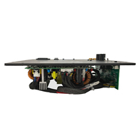 Module amplificateur de caisson de basses haute puissance Amplificateur de plaque de caisson de basses professionnel 250W CLASS D