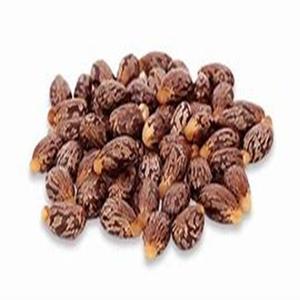 Vente au prix d'usine sur les graines de ricin naturelles Produit agricole - Product Image 4