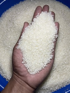 Étiquette OEM-Sushi Reis/riz rond de riz japonais à sushi pour sushi/Arroz para sushi (Mme Ellen) - Product Image 6