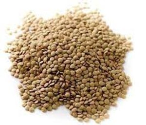 Lentejas Verdes Francesas Secas a Granel 25kg en Venta - Product Image 5