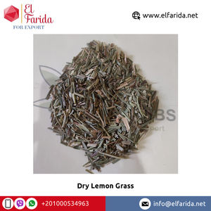 Superventas 100% hierba de limón seco egipcio puro Natural calidad Superior especias individuales hierba procesamiento crudo precio razonable - Product Image 4