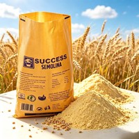 Sacs d'emballage personnalisés en BOPP tissé, imprimés en héliogravure, résistants à l'humidité, réutilisables, pour riz, engrais et aliments pour animaux, 25 kg et 50 kg